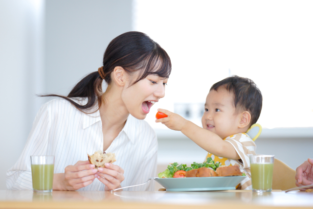 ミールキット選びで失敗しないためのチェックポイント
